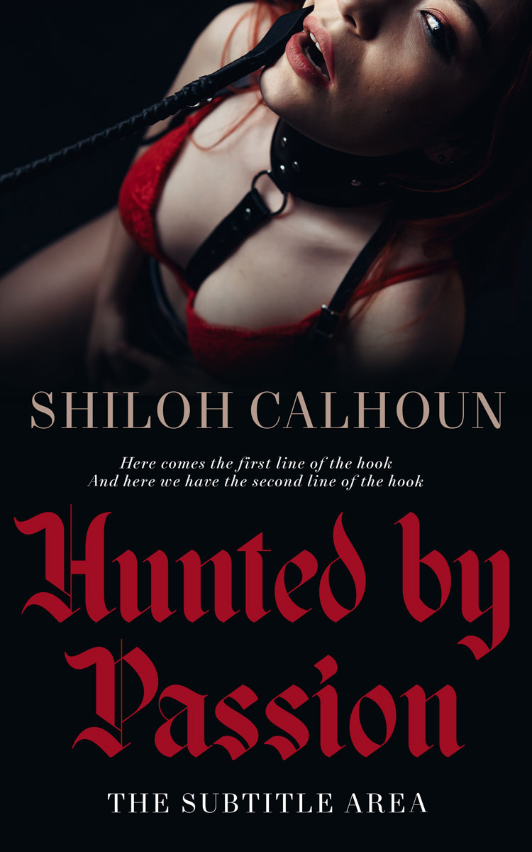 2D view of Matrix #13343 - Premade Erotica Book Cover