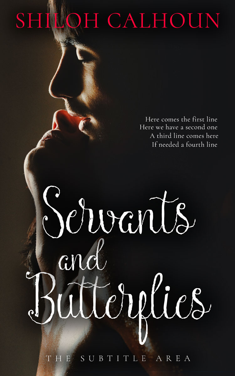 2D view of Cod Gray #13350 - Premade Erotica Book Cover