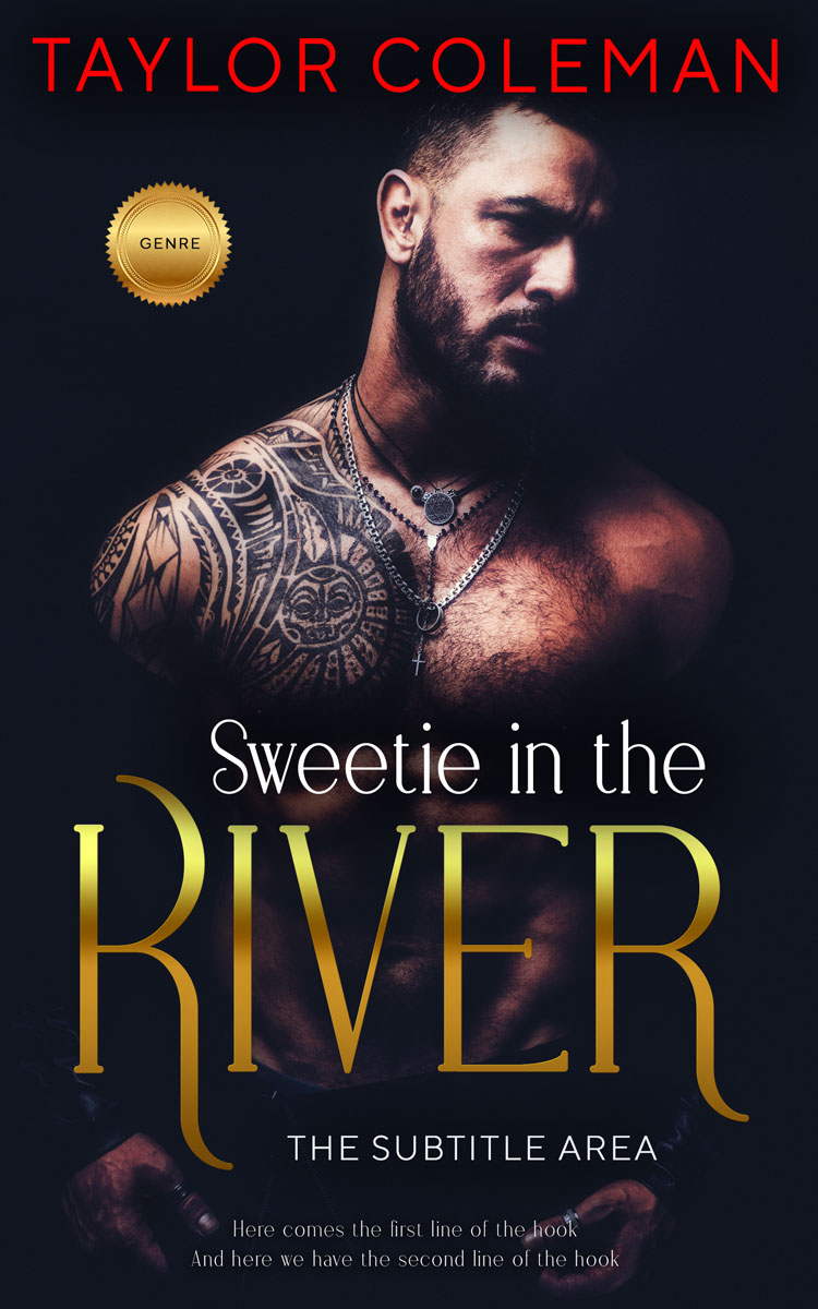 2D view of Premade Erotica Book Cover - Cinder