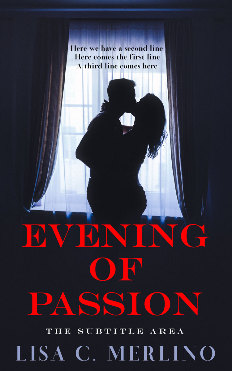 2D view of Steel Gray #14170 - Premade Erotica Book Cover