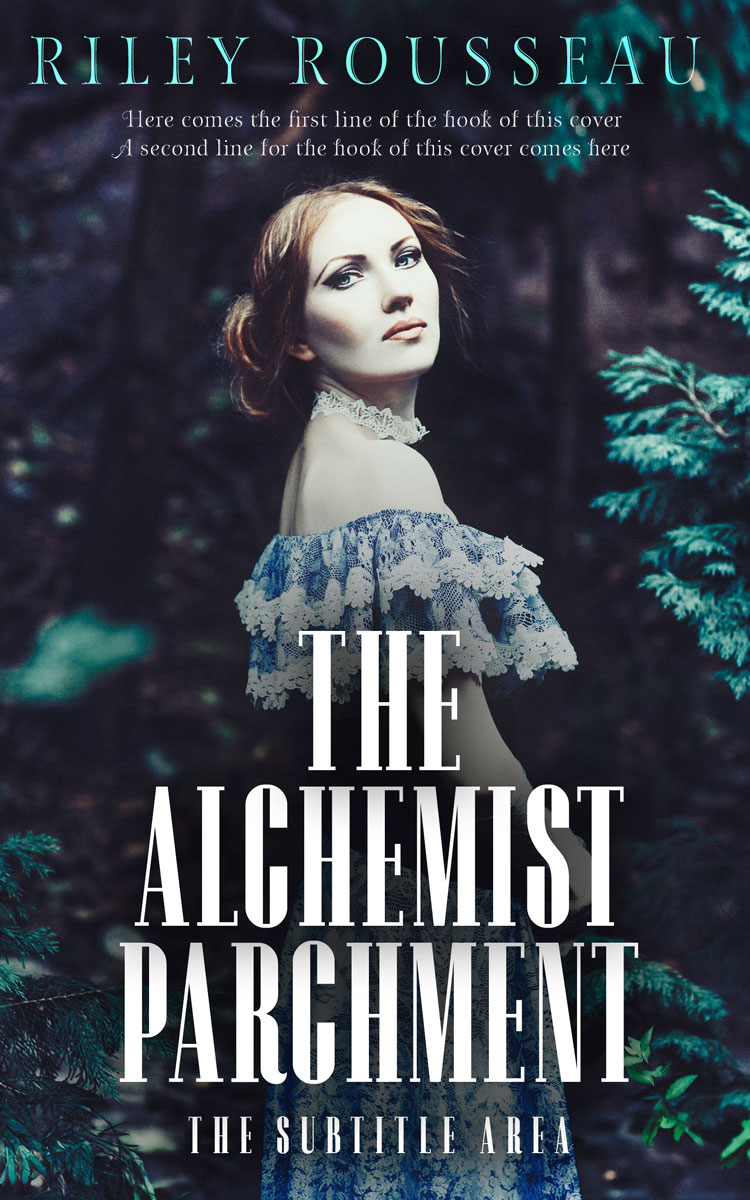 2D view of Ebony Clay #15276 - Premade Historical Book Cover