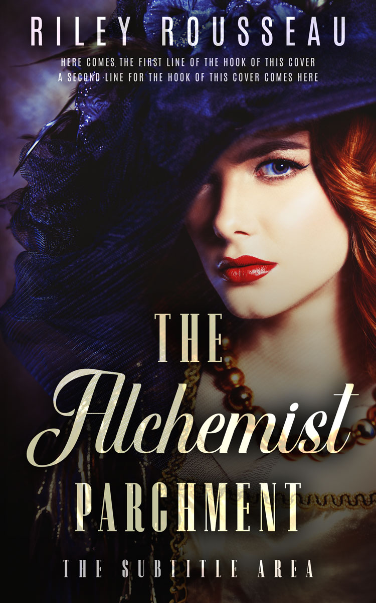 2D view of Bastille #15281 - Premade Historical Book Cover