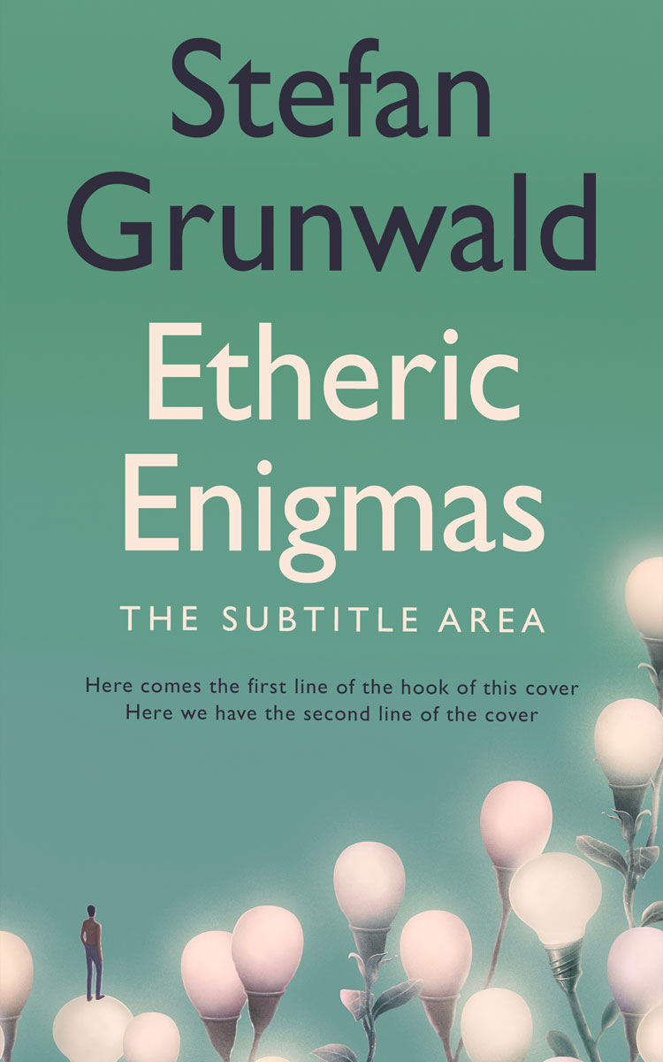 2D view of Premade Business Book Cover - Patina