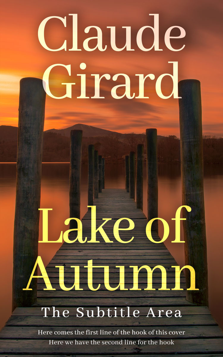 2D view of Birch #15879 - Premade Literary Fiction Book Cover