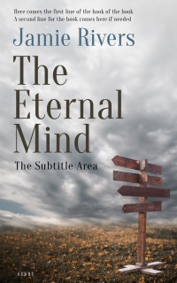 2D view of Premade Historical Book Cover - Silver