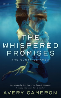 2D view of Big Stone #16812 - Premade Romance Book Cover