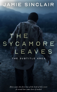 2D view of Premade Mystery & Thriller & Suspense Book Cover - Mirage