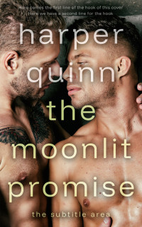 2D view of Premade Erotica Book Cover - Sandal