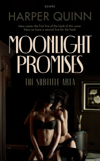 2D view of Night Rider #16903 - Premade Erotica Book Cover