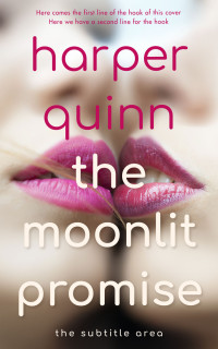 2D view of Wafer #16912 - Premade Erotica Book Cover