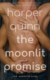 2D view of Premade Erotica Book Cover - Cape Palliser