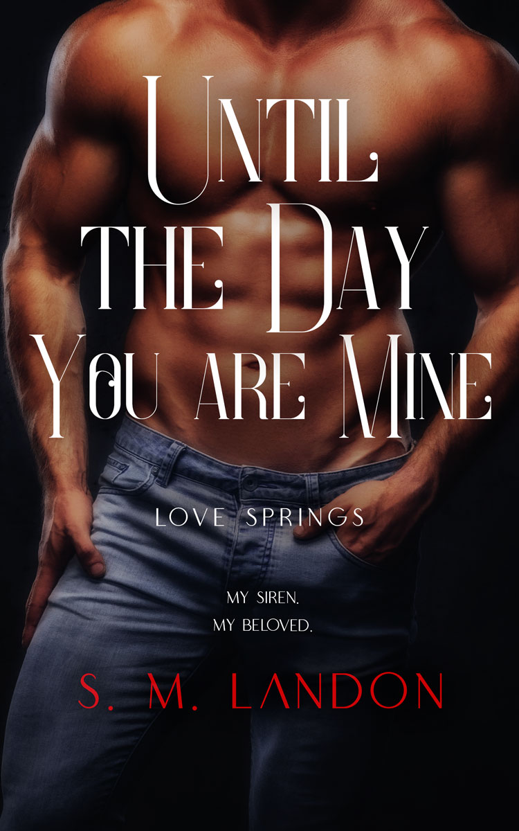 2D view of Thunder #20139 - Premade Erotica Book Cover