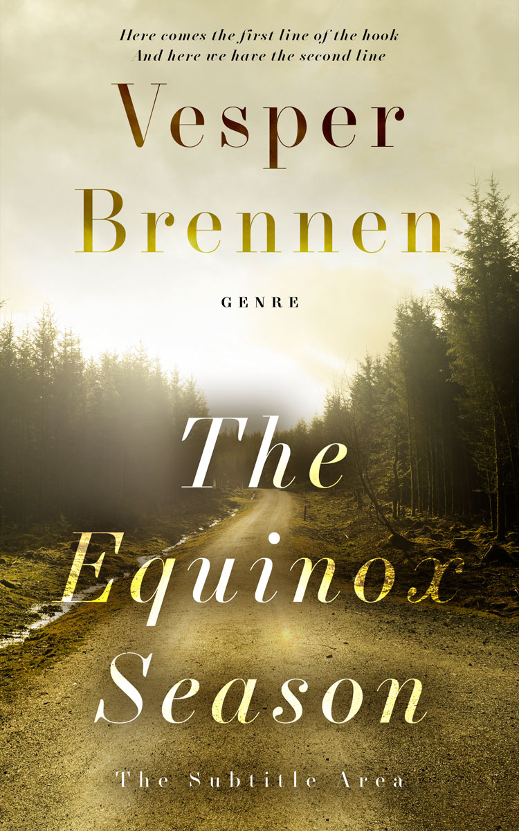 2D view of Premade Mystery & Thriller & Suspense Book Cover - Akaroa