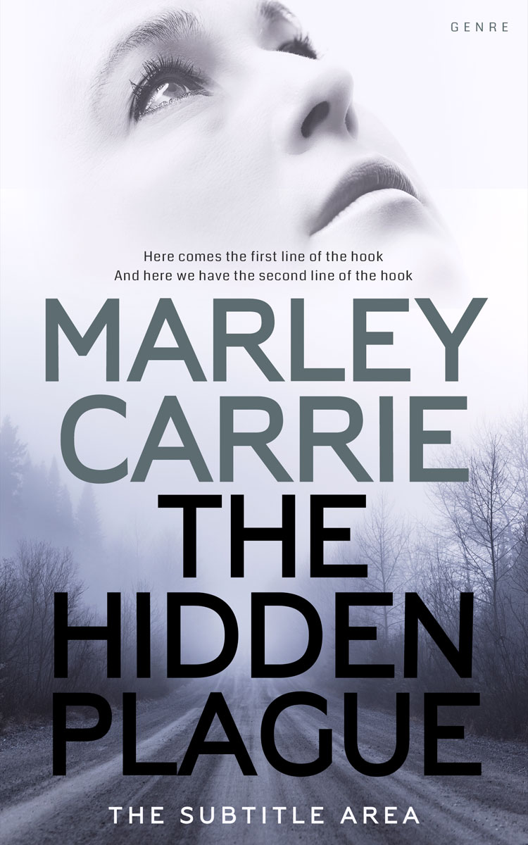 2D view of Bright Gray #20223 - Premade Mystery & Thriller & Suspense Book Cover