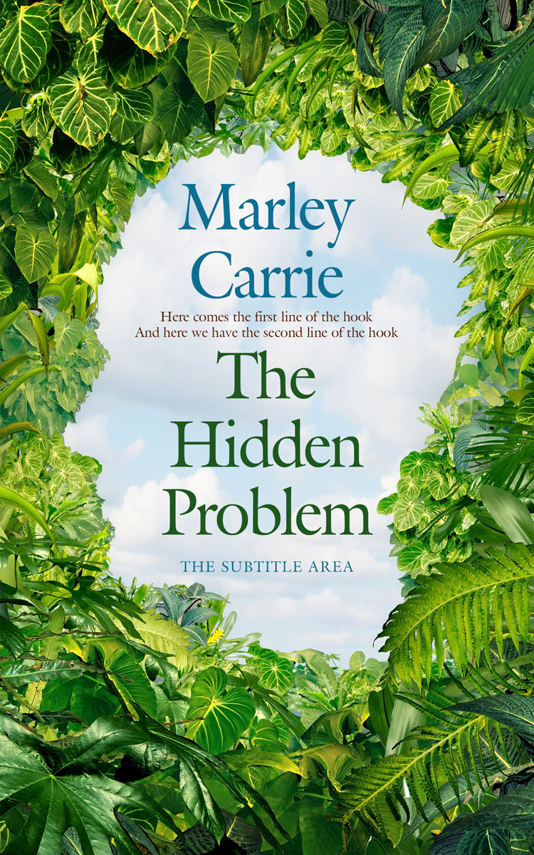 2D view of Gray Nurse #20306 - Premade Self-Improvement & Self-Help Book Cover