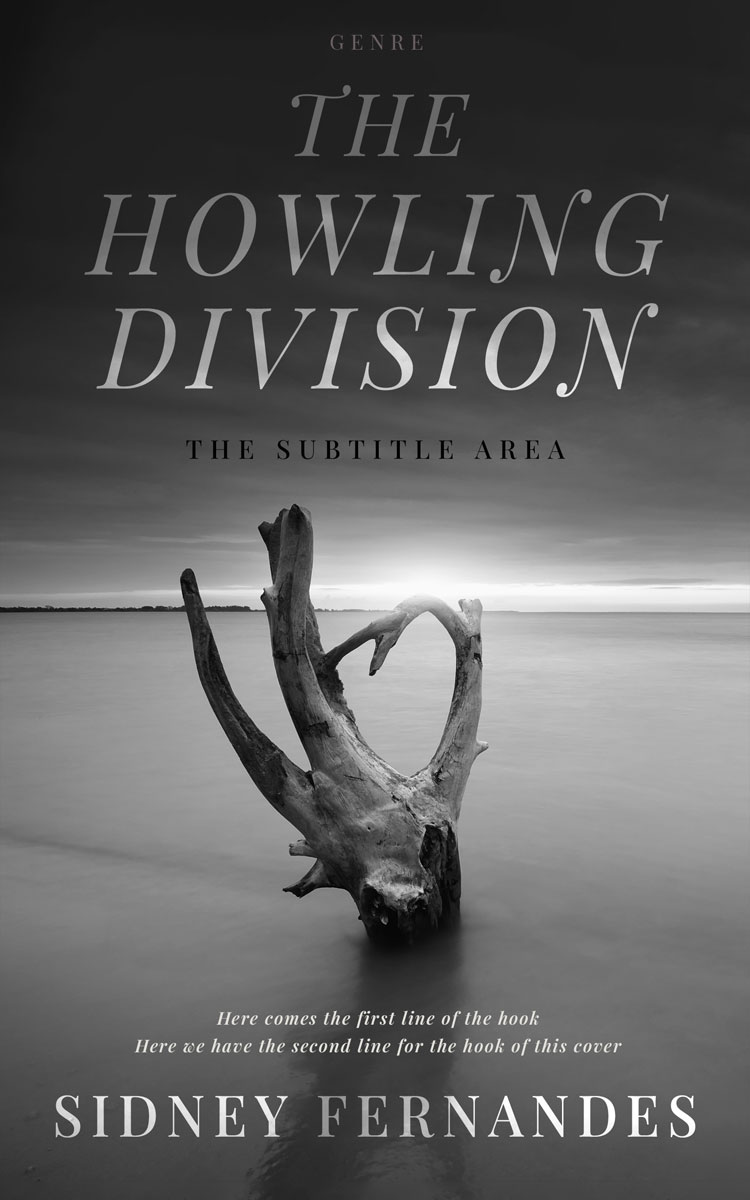 2D view of Premade Fantasy Book Cover - Tundora