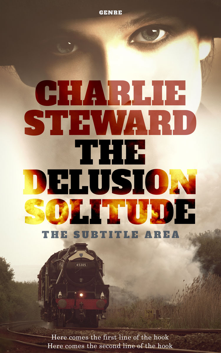 2D view of Akaroa #20820 - Premade Historical Book Cover