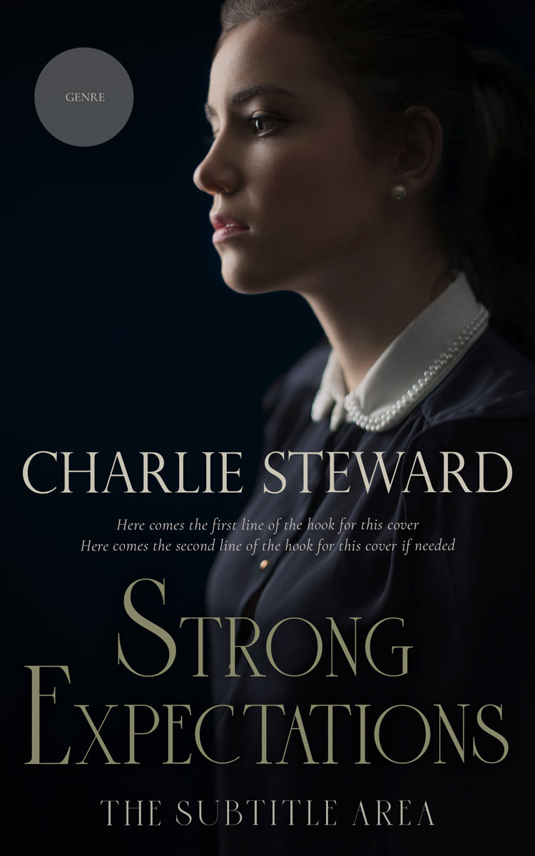 2D view of Woodsmoke #20882 - Premade Mystery & Thriller & Suspense Book Cover