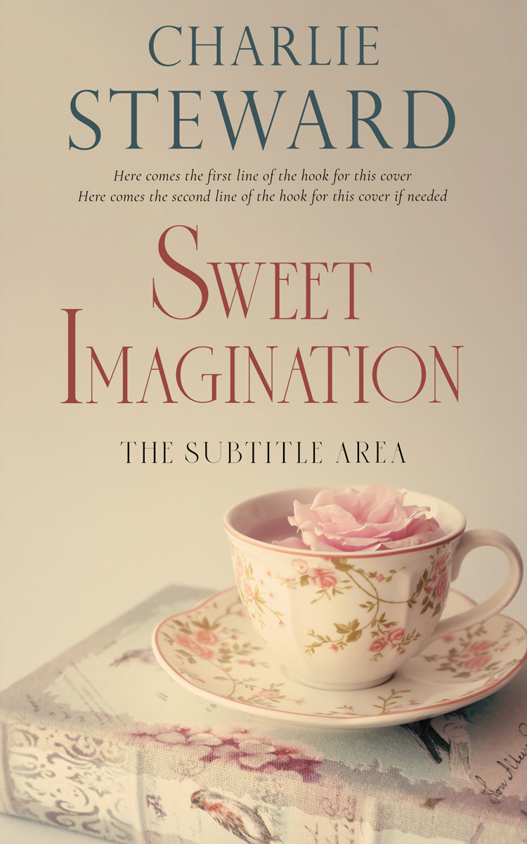 2D view of Akaroa #20892 - Premade Romance Book Cover