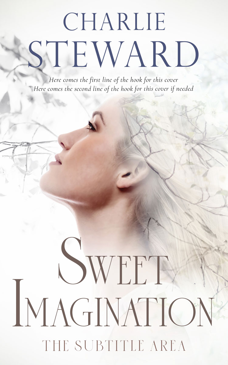 2D view of Pampas #20894 - Premade Abstract Book Cover