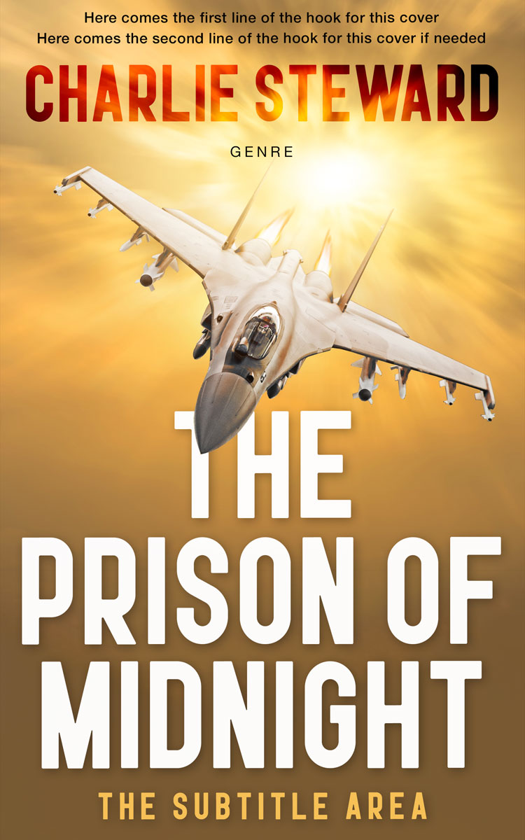 2D view of Driftwood #20916 - Premade Action & Adventure Book Cover