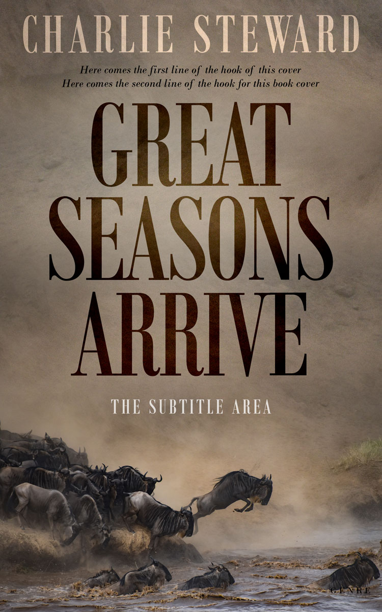 2D view of Sand Dune #20934 - Premade Travel Book Cover