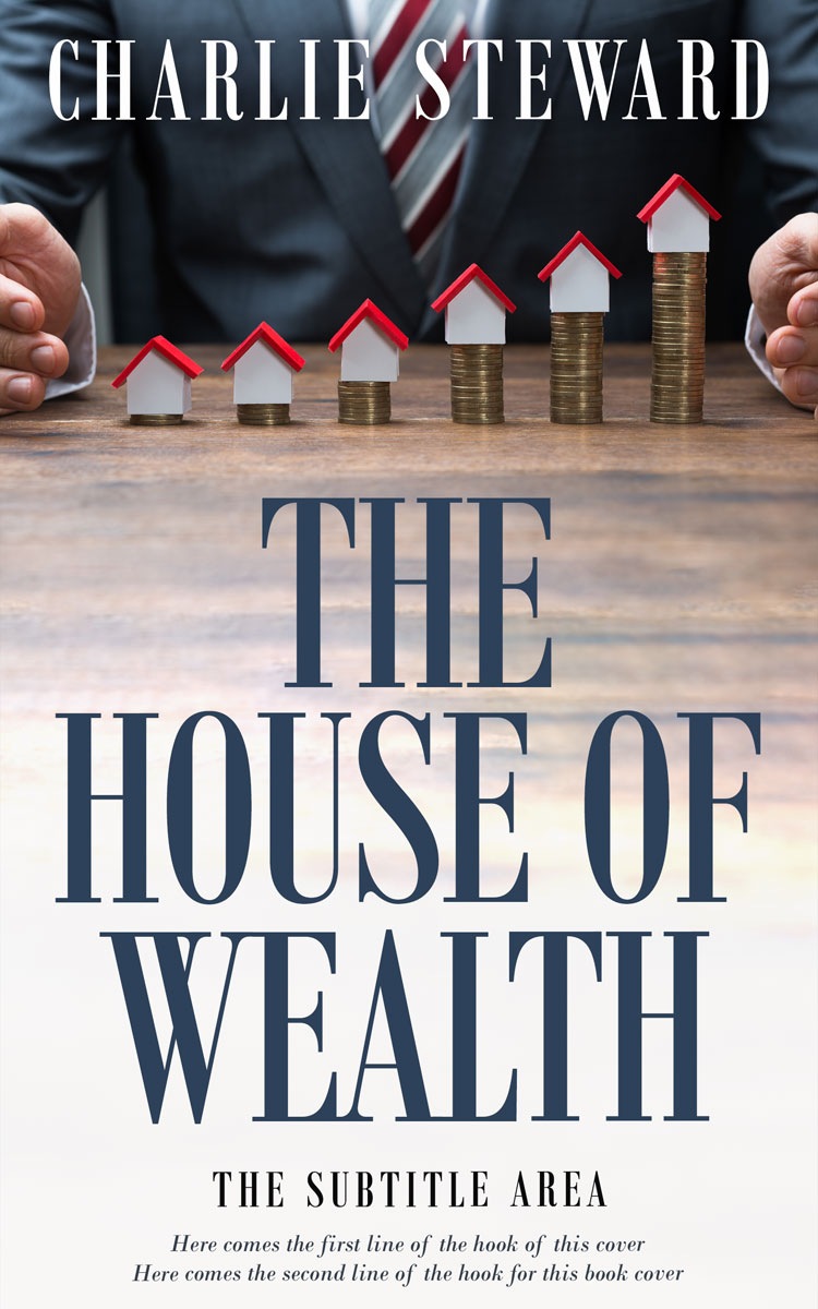 2D view of Ebony Clay #20939 - Premade Self-Improvement & Self-Help Book Cover