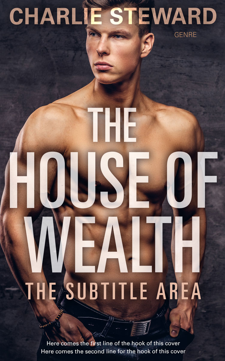 2D view of Cameo #20950 - Premade Erotica Book Cover