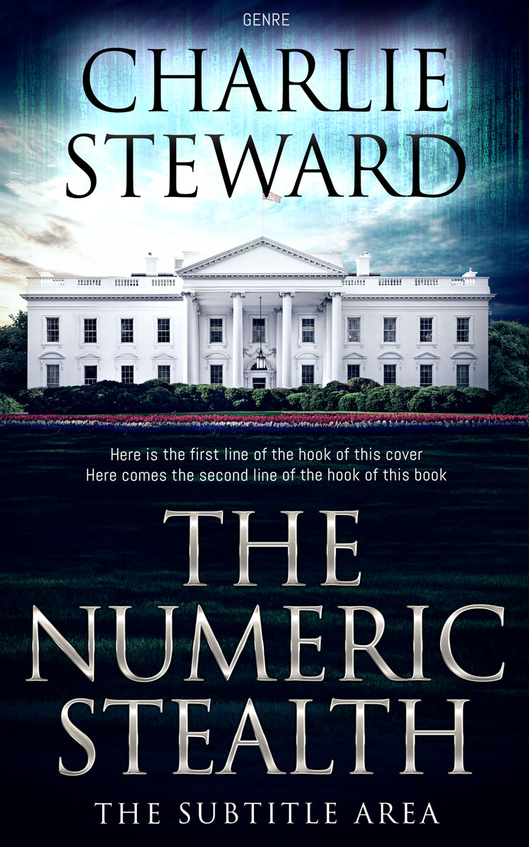 2D view of Ebony #20979 - Premade Mystery & Thriller & Suspense Book Cover