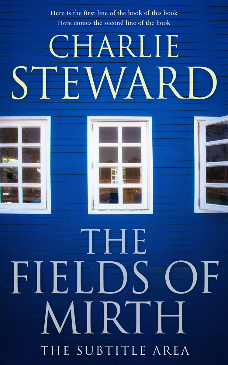 2D view of Catalina Blue #21005 - Premade Literary Fiction Book Cover