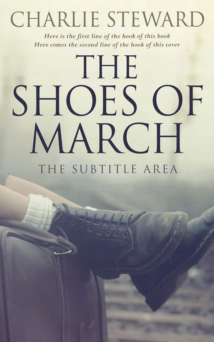 2D view of Moon Mist #21008 - Premade Historical Book Cover