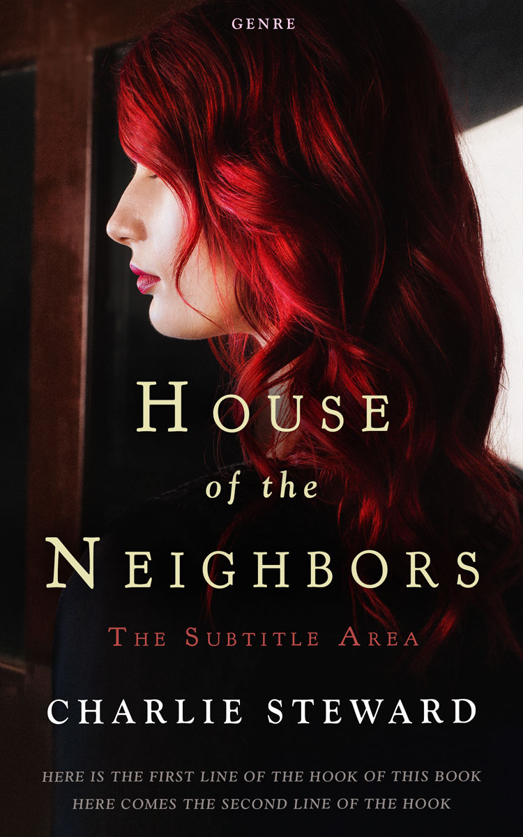 2D view of Night Rider #21053 - Premade Romance Book Cover