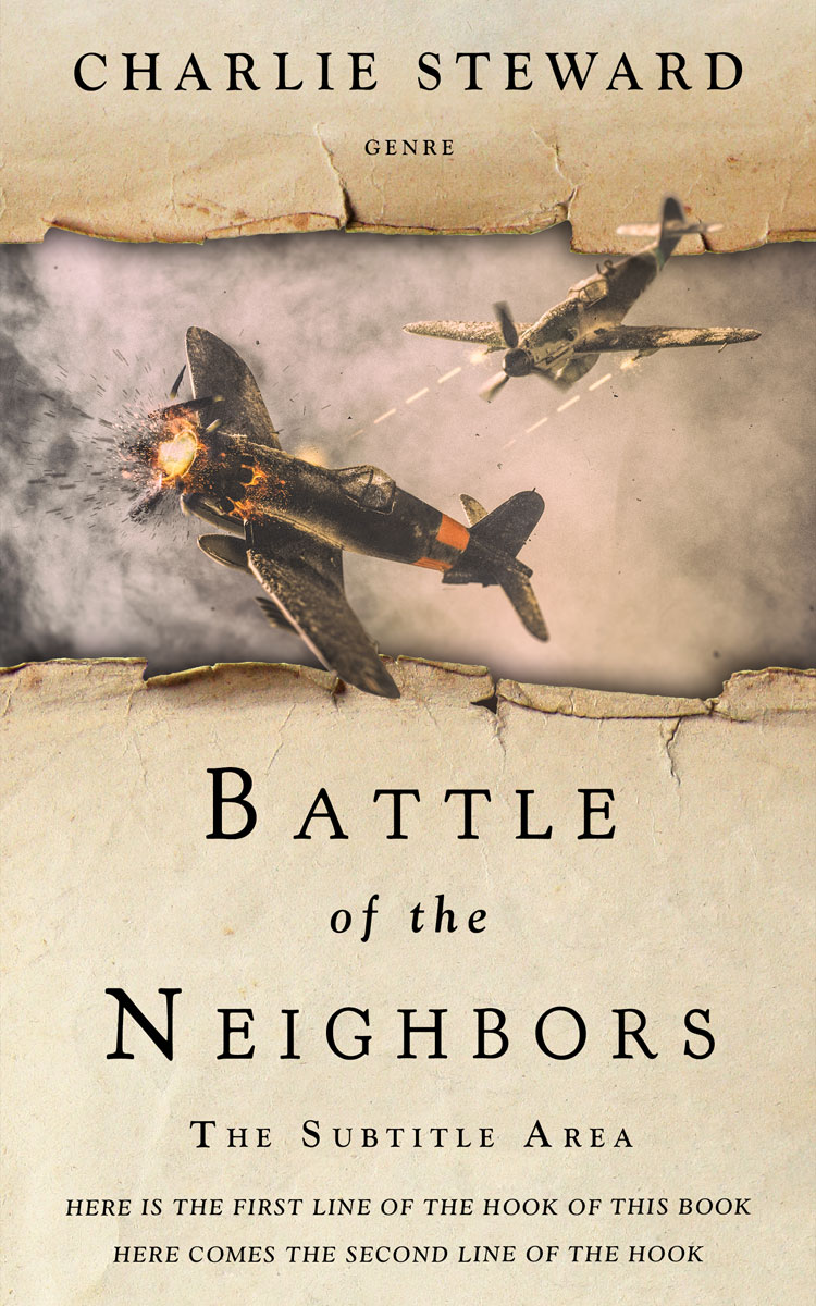 2D view of Akaroa #21071 - Premade Historical Book Cover