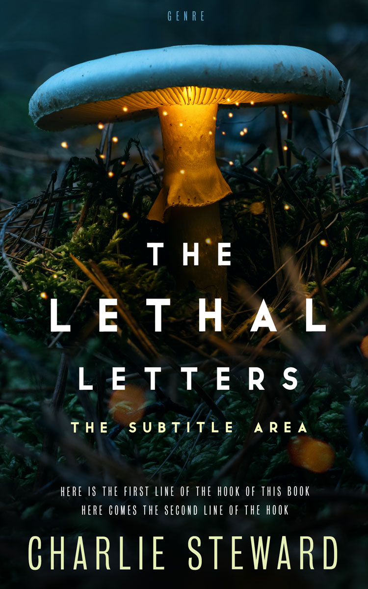 2D view of Black #21128 - Premade Fantasy Book Cover