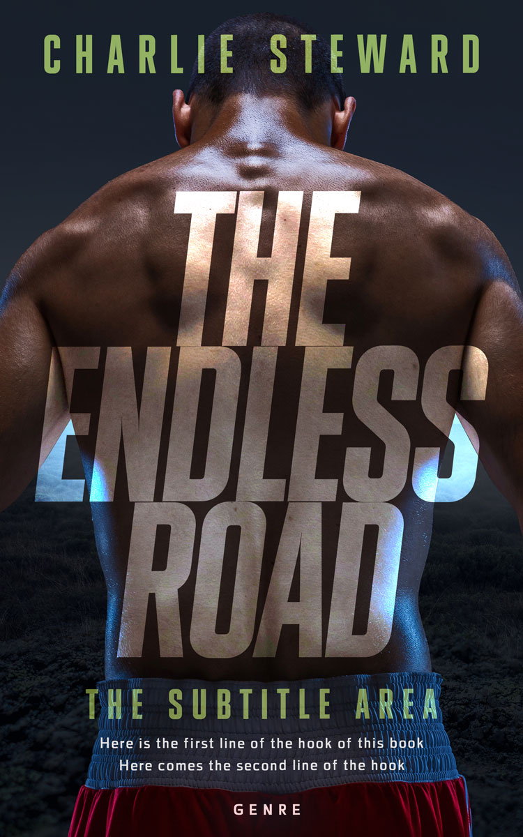 2D view of Thunder #21184 - Premade Action & Adventure Book Cover