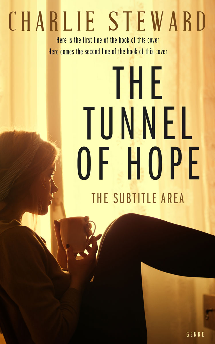 2D view of Premade Literary Fiction Book Cover - Sandwisp