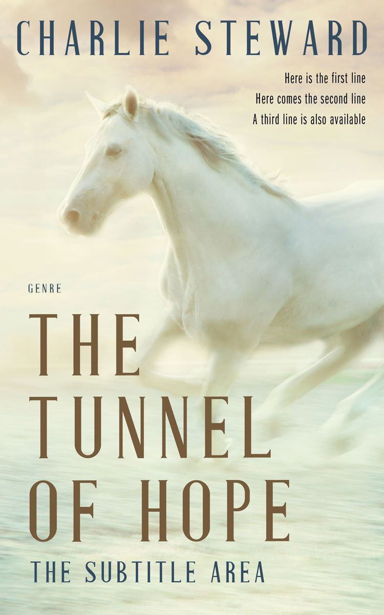 2D view of Premade Fantasy Book Cover - Tana