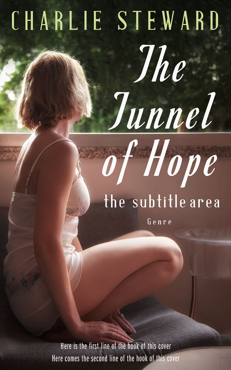 2D view of English Walnut #21255 - Premade Romance Book Cover