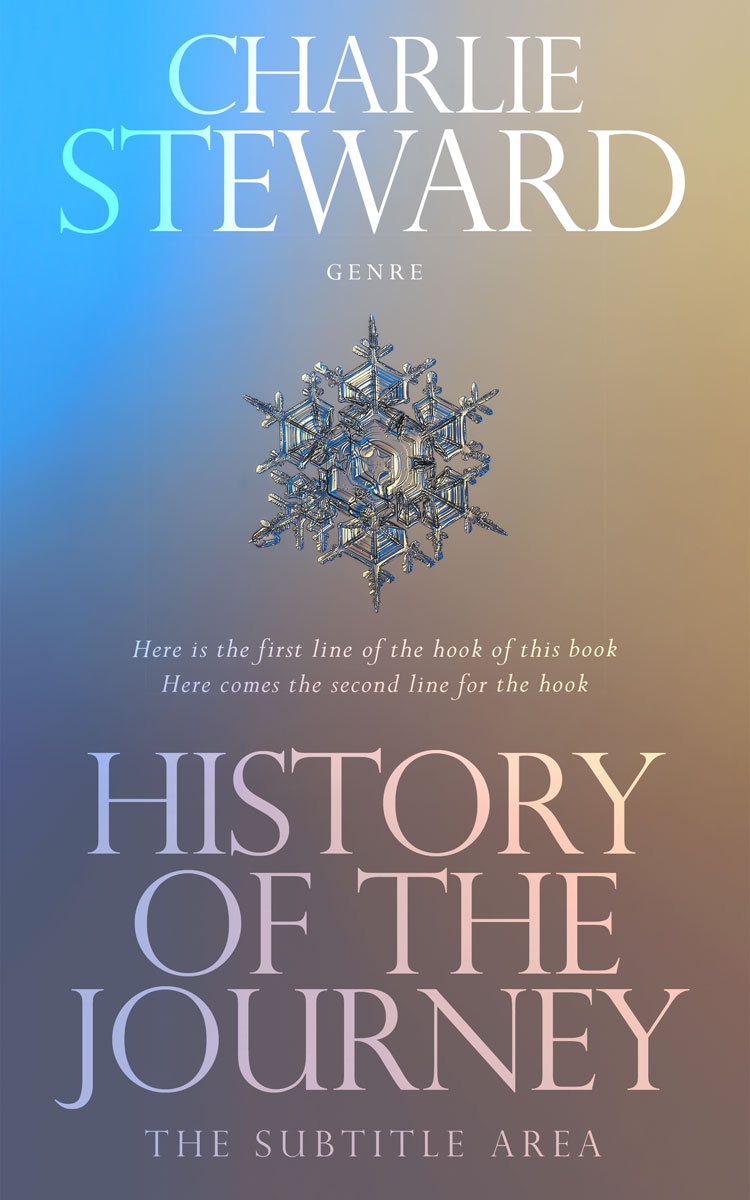 2D view of Premade Abstract Book Cover - Boulder