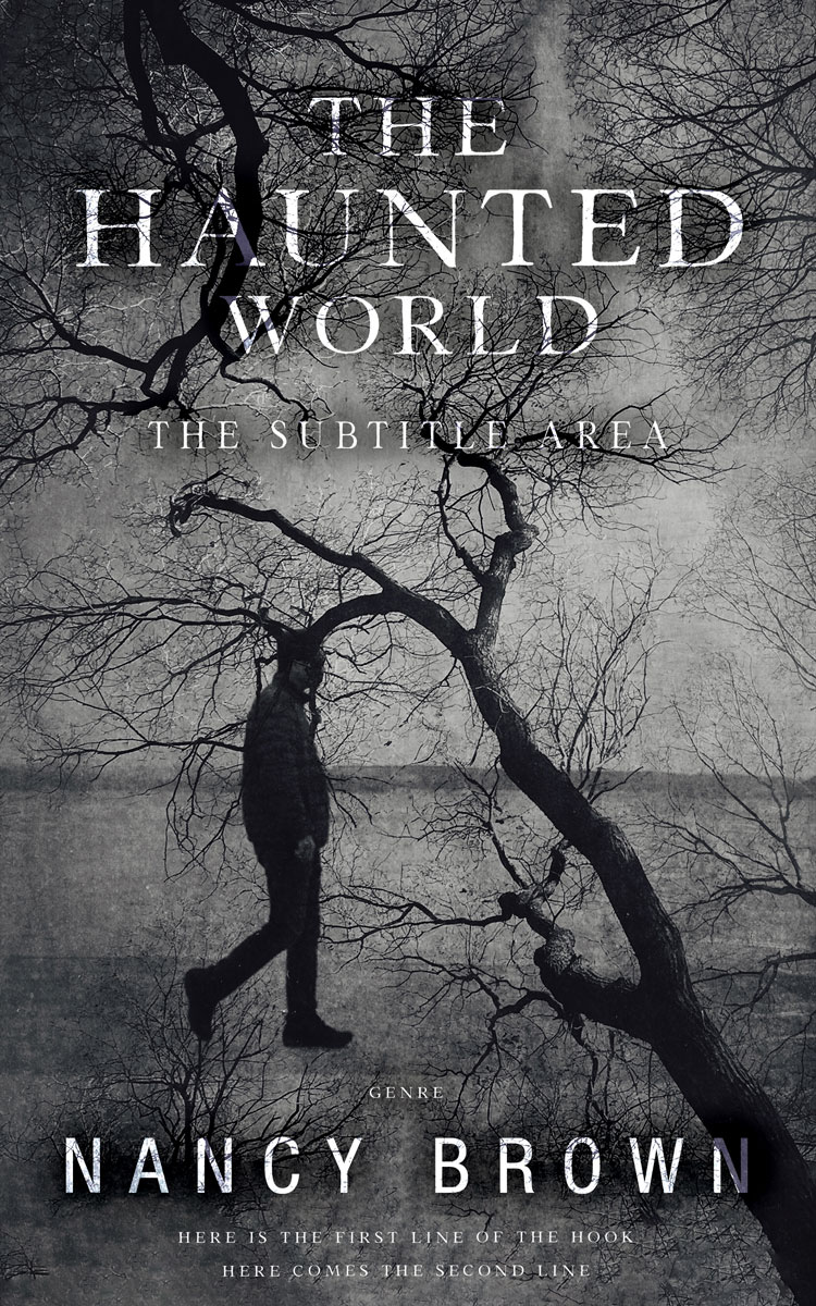 2D view of Ship Gray #21420 - Premade Mystery & Thriller & Suspense Book Cover