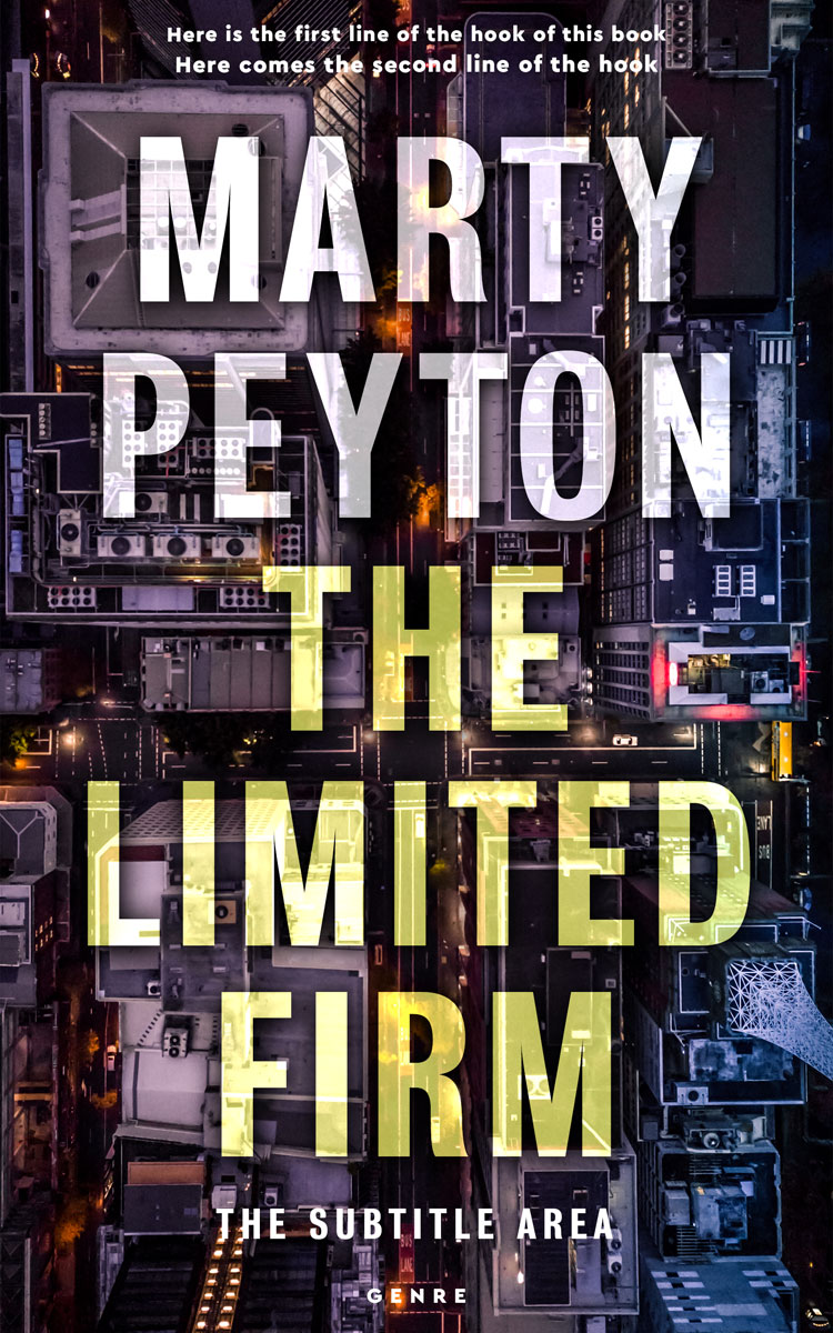 2D view of Premade Mystery & Thriller & Suspense Book Cover - Akaroa