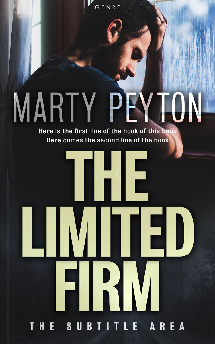 2D view of Foggy Gray #21603 - Premade Literary Fiction Book Cover