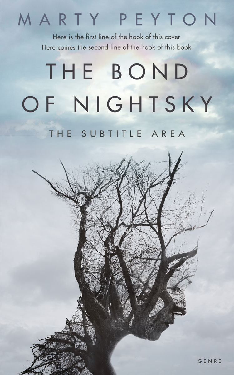 2D view of Loblolly #21697 - Premade Literary Fiction Book Cover