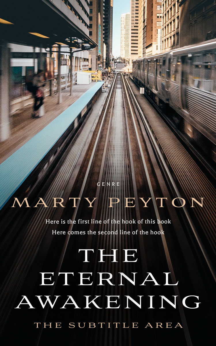 2D view of Silk #21808 - Premade Mystery & Thriller & Suspense Book Cover