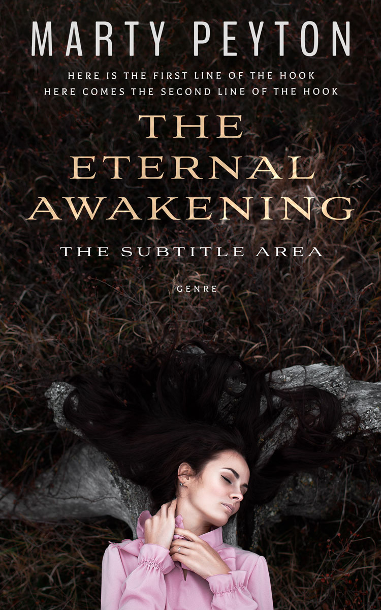 2D view of Zeus #21820 - Premade Teen & Young Adult Book Cover