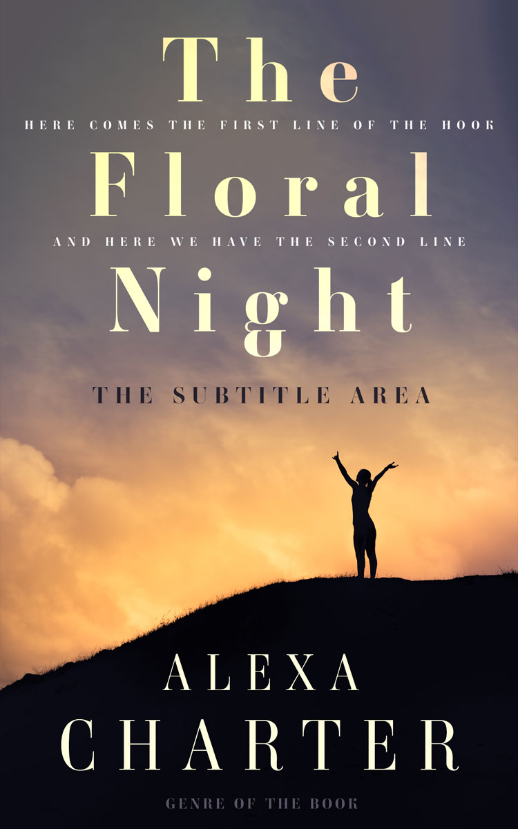 2D view of Ship Gray #21859 - Premade Self-Improvement & Self-Help Book Cover | BookCoverZone