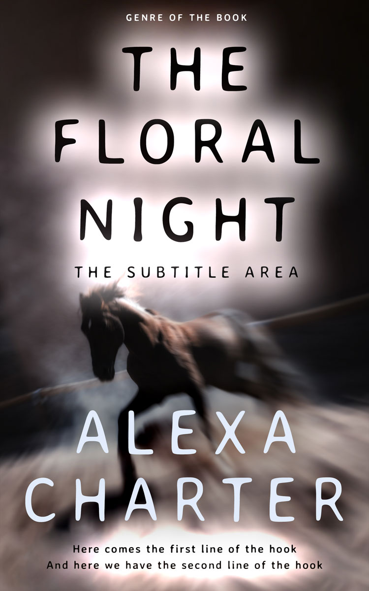 2D view of Mine Shaft #21861 - Premade Mystery & Thriller & Suspense Book Cover