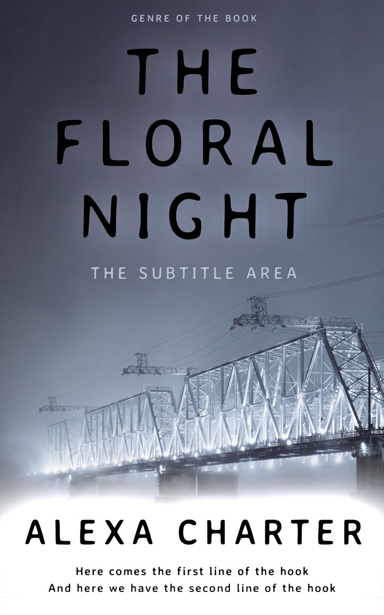 2D view of Premade Mystery & Thriller & Suspense Book Cover - Shuttle Gray