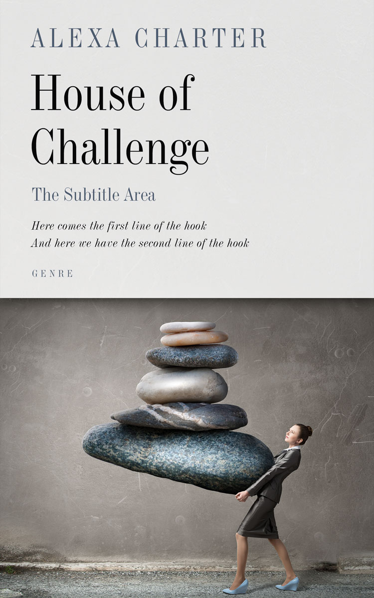 2D view of Premade Business Book Cover - Quill Gray