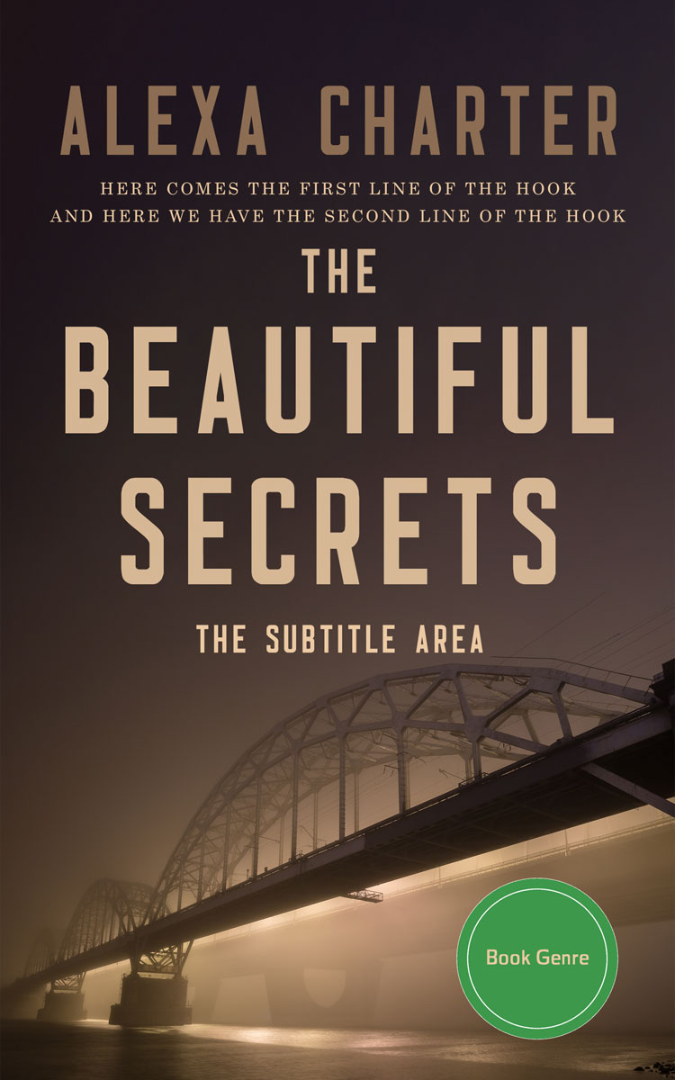 2D view of Woody Brown #22117 - Premade Mystery & Thriller & Suspense Book Cover